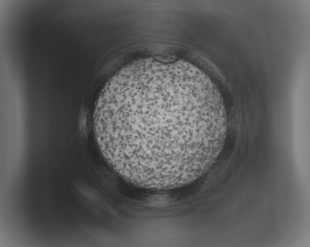 X0000100230119200806201452