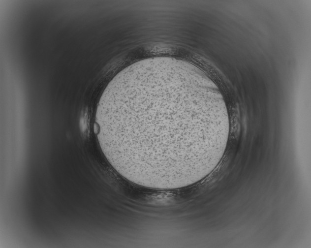 X0000100230124200806201452
