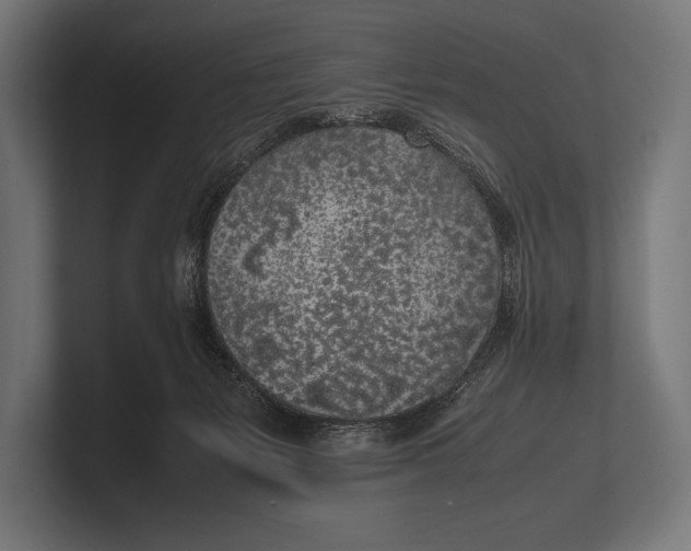 X0000100230127200806201452