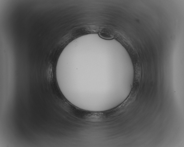 X0000100230128200806201452
