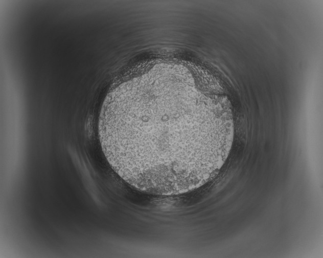 X0000100230131200806201452