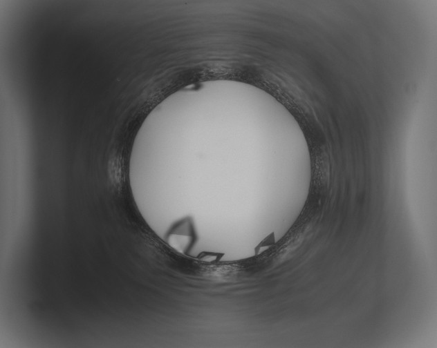 X0000100230135200806201452