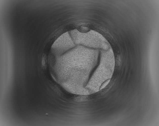 X0000100230138200806201452
