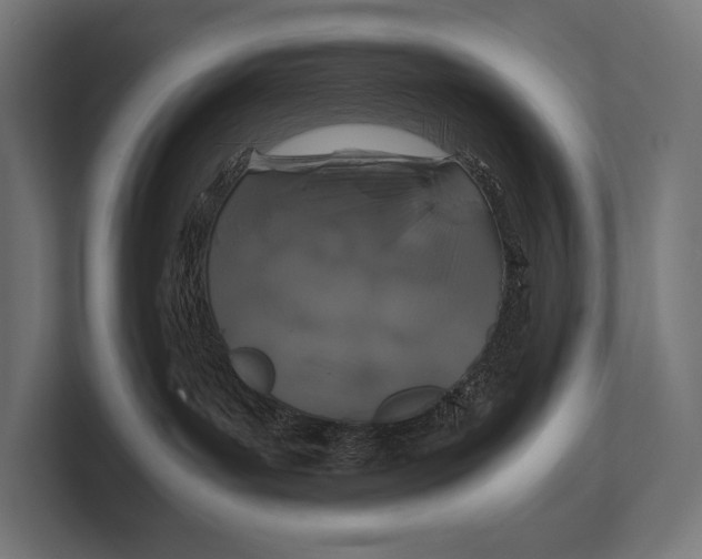 X0000100230143200806201451