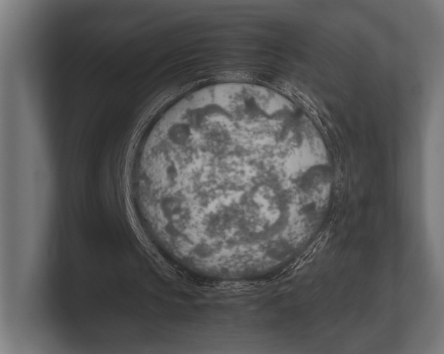 X0000100230145200806201451