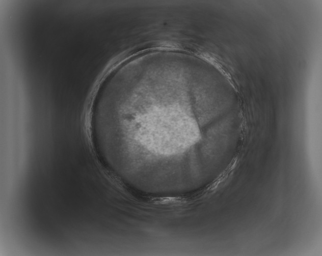 X0000100230151200806201451