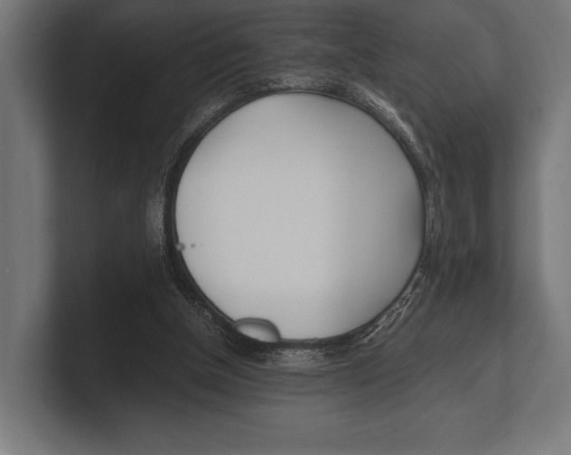 X0000100230154200806201451