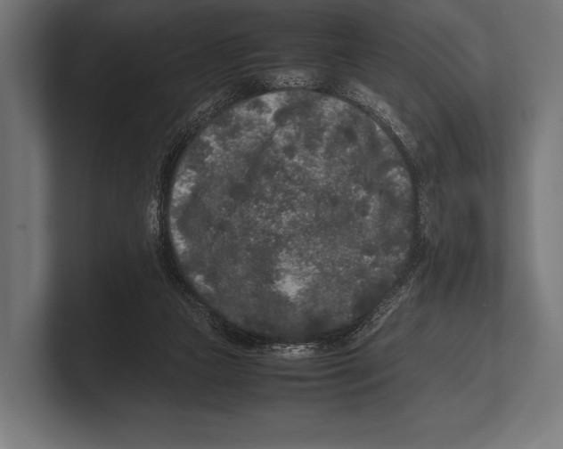 X0000100230161200806201451