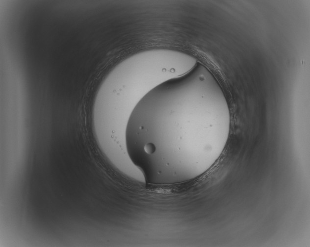 X0000100230162200806201451