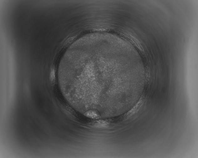 X0000100230166200806201451