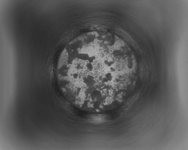 X0000100230169200806201451