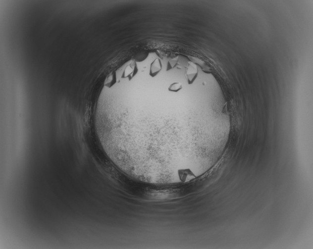 X0000100230171200806201451