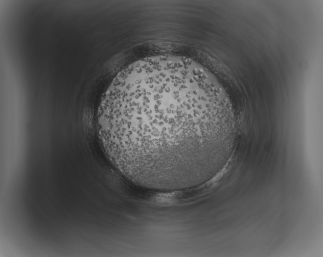 X0000100230178200806201451