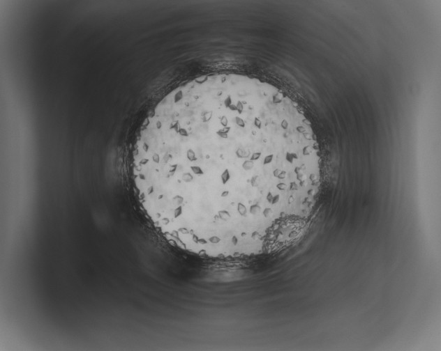 X0000100230179200806201451