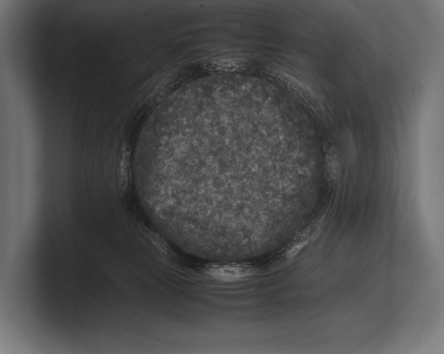 X0000100230181200806201451