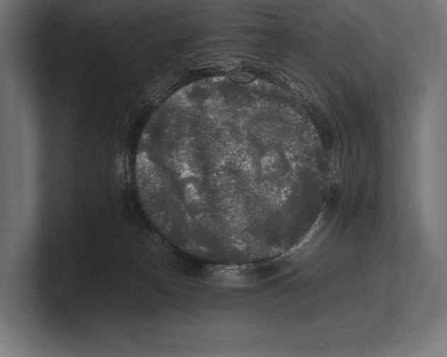 X0000100230182200806201451