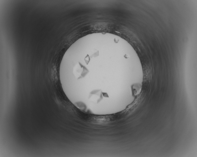 X0000100230187200806201451