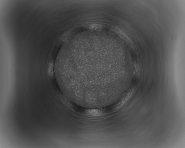 X0000100230189200806201451