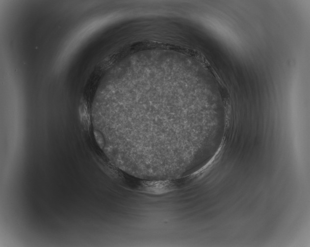 X0000100230191200806201451