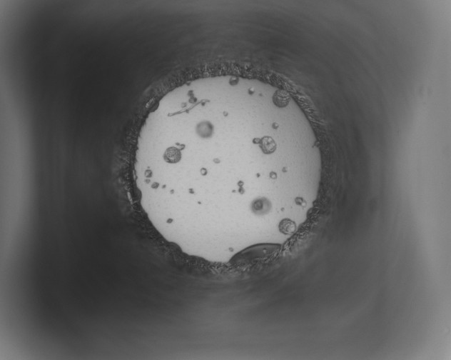 X0000100230192200806201451