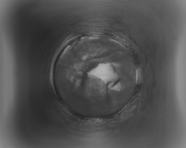 X0000100230195200806201451