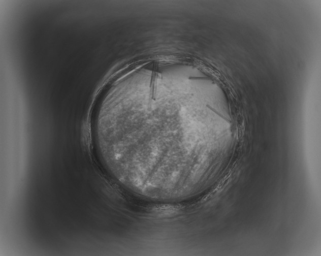 X0000100230198200806201451