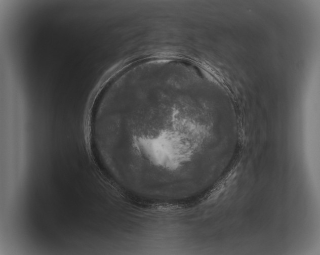 X0000100230199200806201451