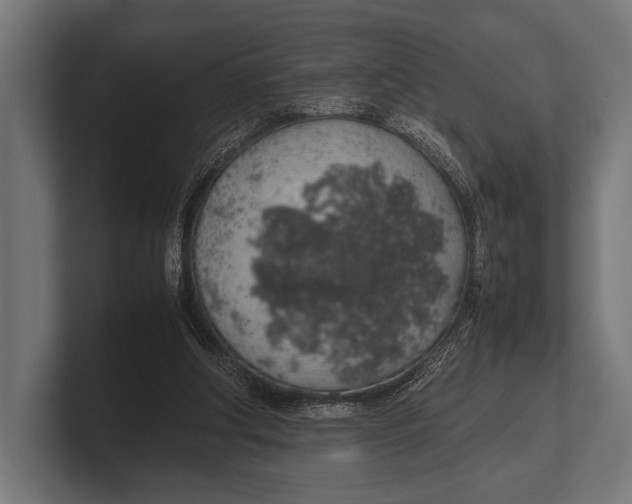 X0000100230202200806201451