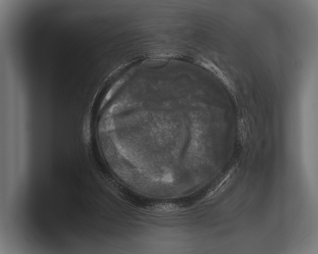 X0000100230203200806201451