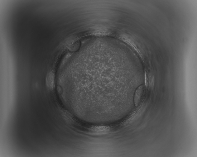 X0000100230205200806201451