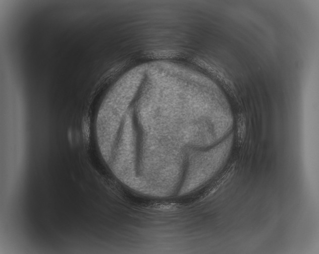 X0000100230206200806201451