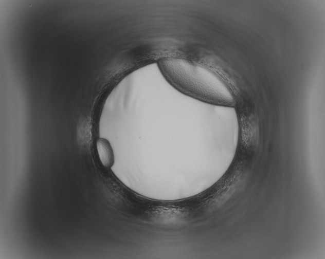 X0000100230207200806201451