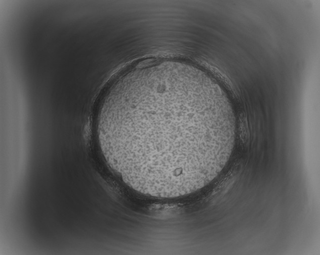 X0000100230208200806201451