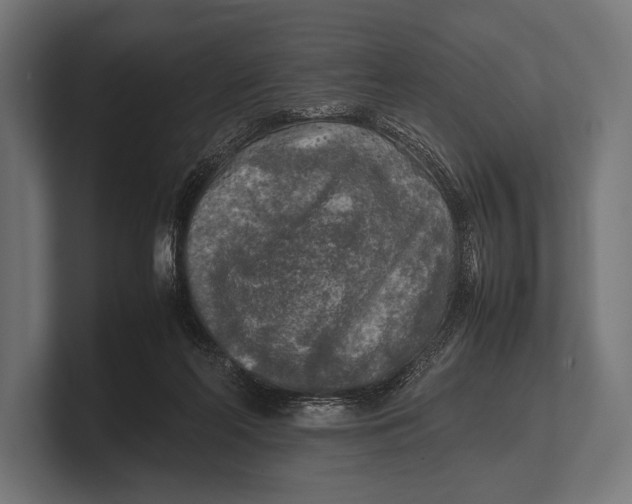 X0000100230214200806201451