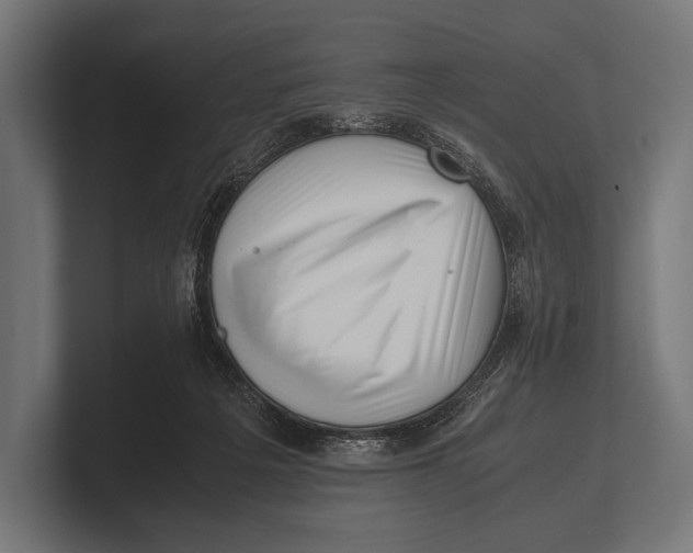 X0000100230217200806201450