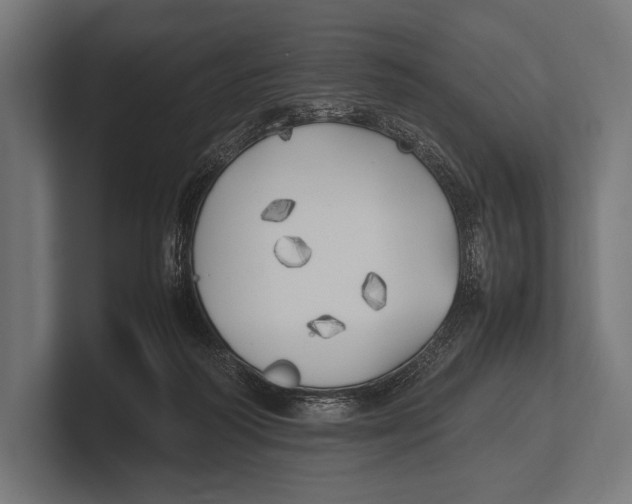 X0000100230218200806201450