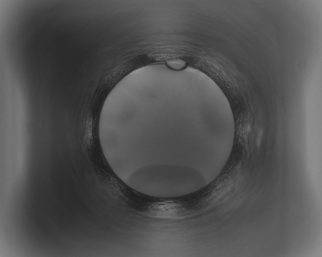 X0000100230219200806201450