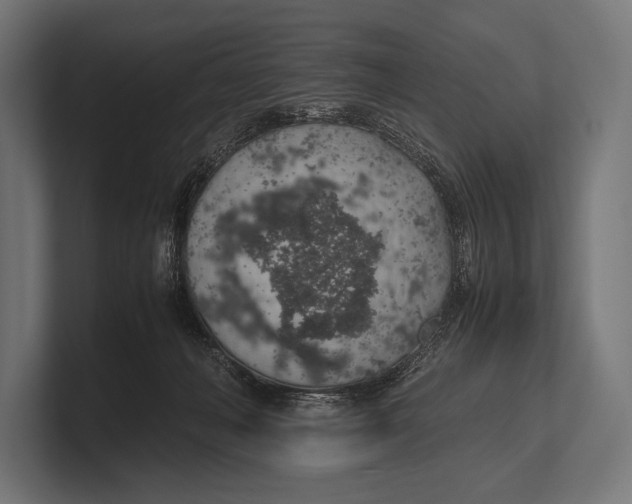 X0000100230222200806201450
