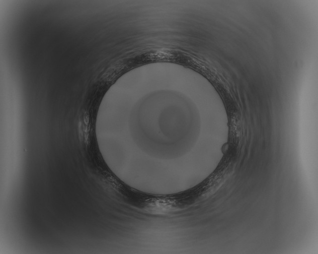 X0000100230223200806201450