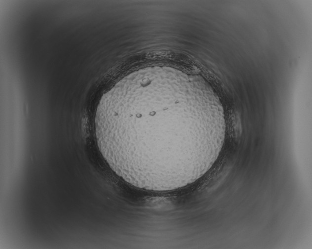 X0000100230224200806201450