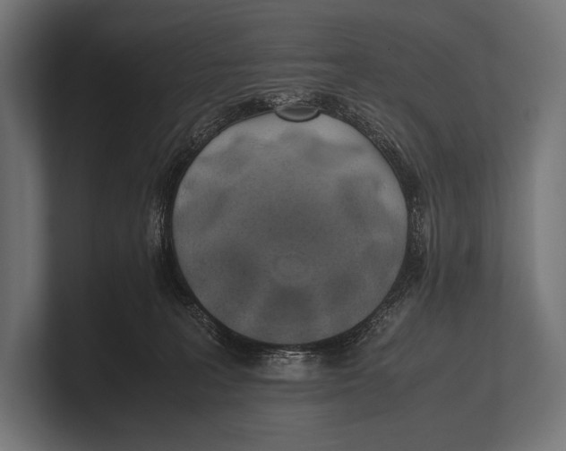 X0000100230227200806201450