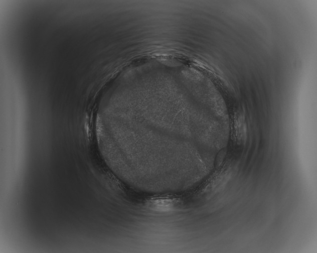 X0000100230228200806201450