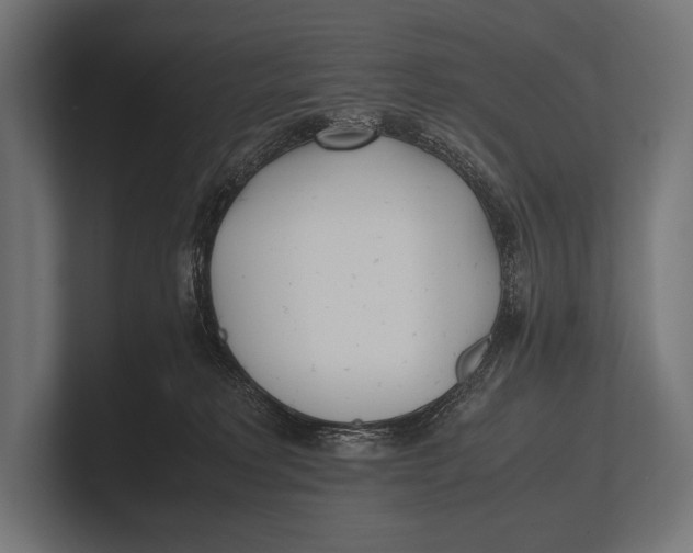 X0000100230229200806201450