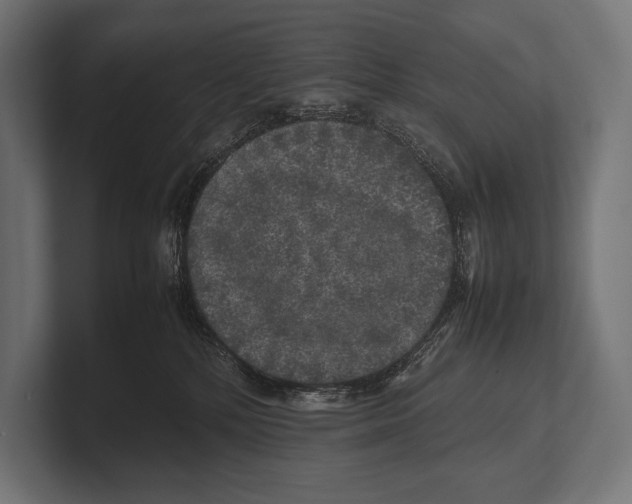 X0000100230232200806201450