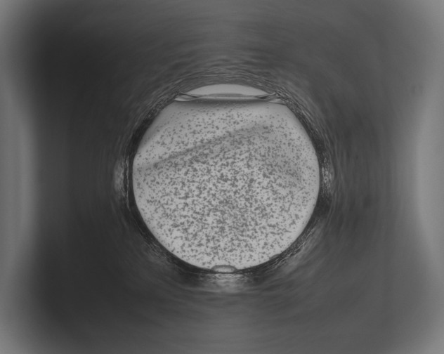 X0000100230233200806201450