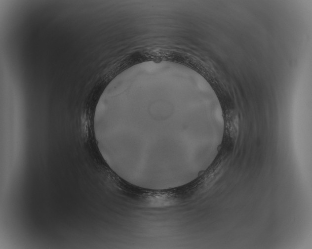 X0000100230235200806201450