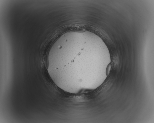 X0000100230236200806201450