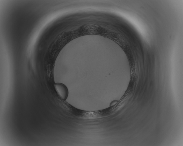 X0000100230239200806201450