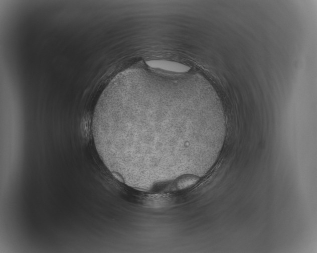 X0000100230240200806201450