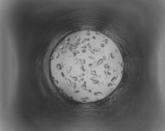 X0000100230241200806201450